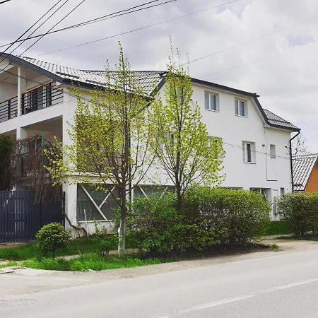 Târgu-Mureş Casa Sancrai 아파트 외부 사진