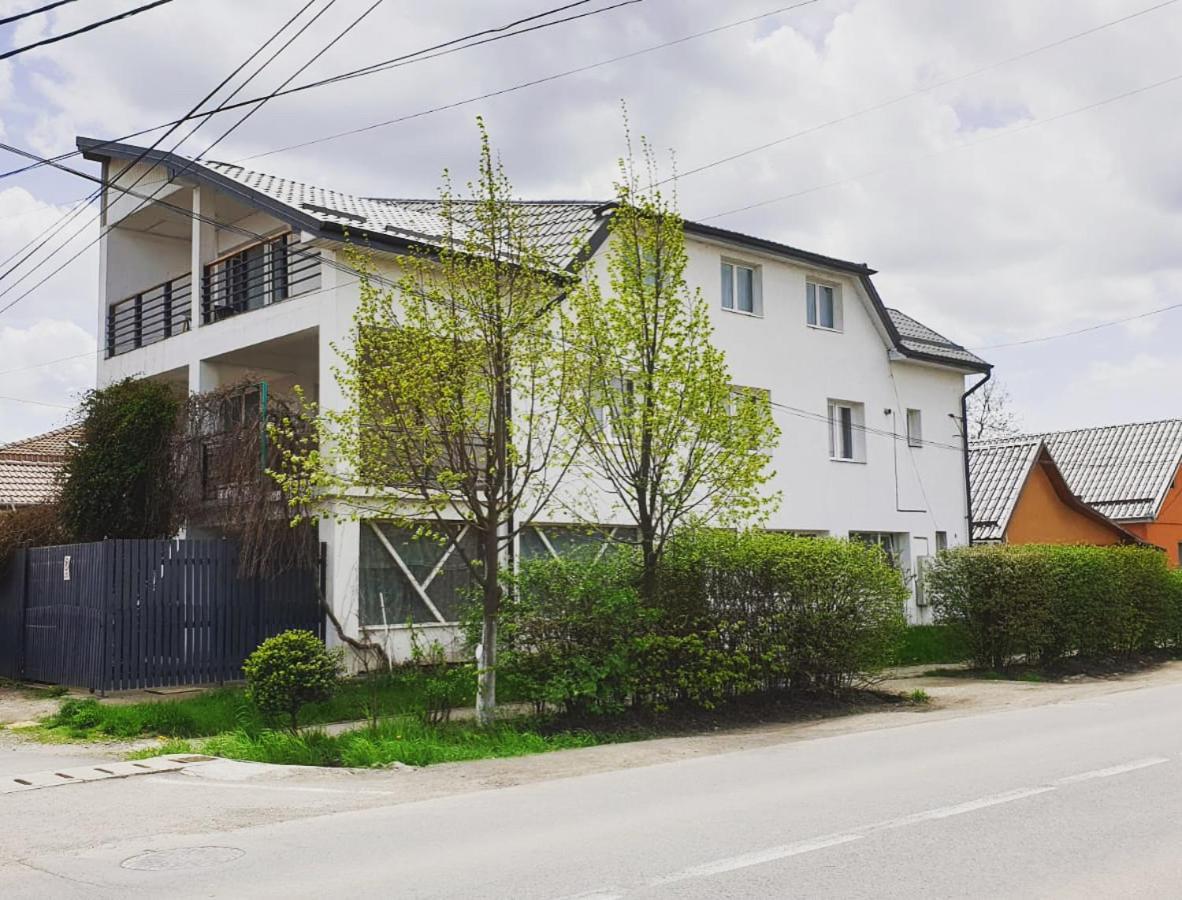Târgu-Mureş Casa Sancrai 아파트 외부 사진